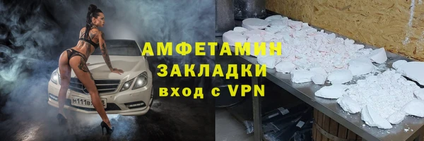 прущие грибы Вяземский