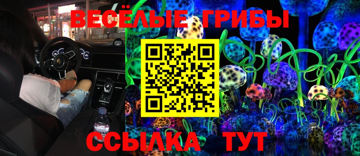 Псилоцибиновые грибы прущие грибы  Галлюциногенные грибы мухоморы  Вход с VPN  Каменск-Шахтинский 