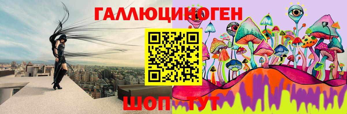 Псилоцибиновые грибы мицелий Каменск-Шахтинский