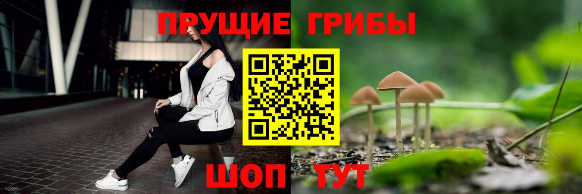 Галлюциногенные грибы GOLDEN TEACHER  Каменск-Шахтинский 